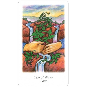 Vision Quest Tarot (Tarot indiański)