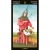 Bosch Tarot