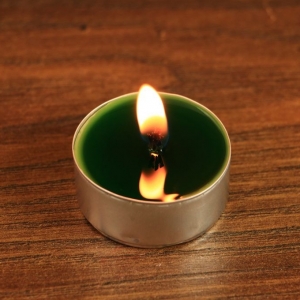 Tealight - świeca z wosku herbaciarka - zielona (6 sztuk)